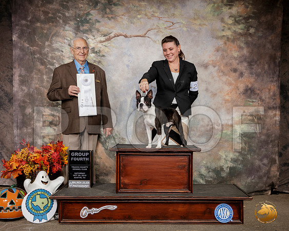 Boston Terrier #27 Sat G4 Judge Robert Shreve__SR_1554-Austin2019-HR3