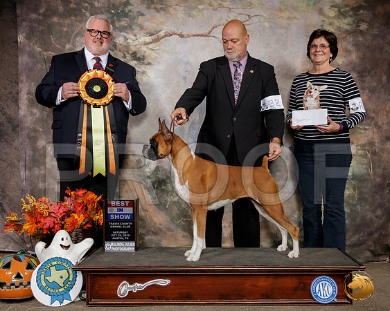 Boxer #32 Sat BIS Judge David Kirkland__SR_1677-Austin2019-HR3