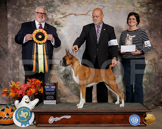 Boxer #32 Sat BIS Judge David Kirkland__SR_1678-Austin2019-HR3