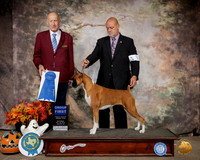 Boxer #32 Sat G1 Judge Sonny Ambrosio