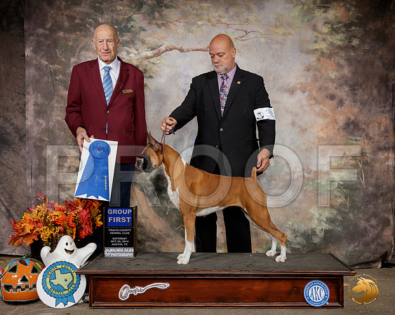 Boxer #32 Sat G1 Judge Sonny Ambrosio__SR_1607-Austin2019-HR3