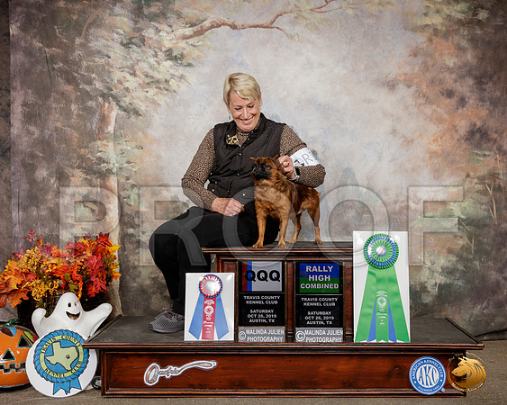 Brussels Griffon #R19 Sat QQQ HC__SR_1601-Austin2019-HR3
