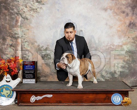 Bulldog #10 Sat BOW BOS__SR_1386-Austin2019-HR3