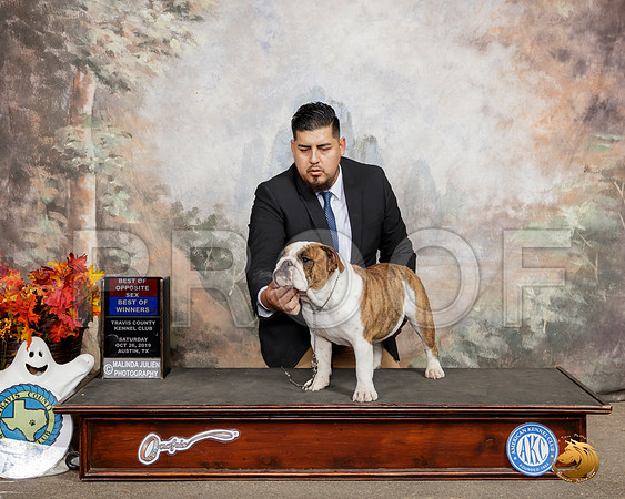 Bulldog #10 Sat BOW BOS__SR_1387-Austin2019-HR3