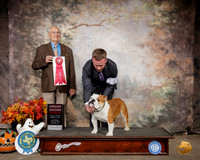 Bulldog #11 Sat G2 Judge Robert Shreve