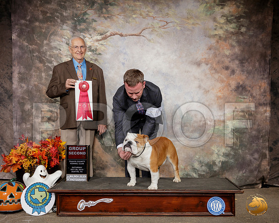 Bulldog #11 Sat G2 Judge Robert Shreve__SR_1551-Austin2019-HR3