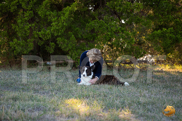 Cardigan Welsh Corgi Sat Sherri_JJL_3547-Austin2019-HR3