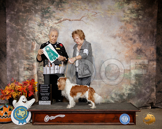 Cavalier King Charles Spaniel #15 Sat OHG3 Judge Erika Moreau__SR_1584-Austin2019-HR3