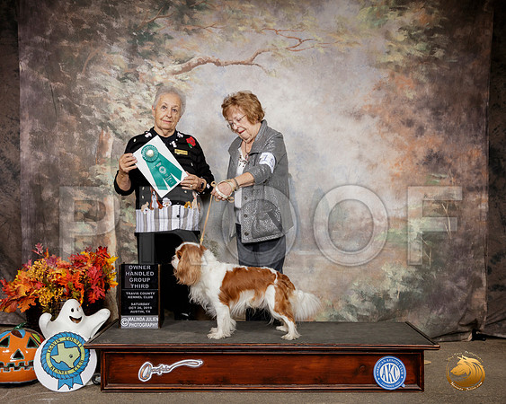 Cavalier King Charles Spaniel #15 Sat OHG3 Judge Erika Moreau__SR_1585-Austin2019-HR3