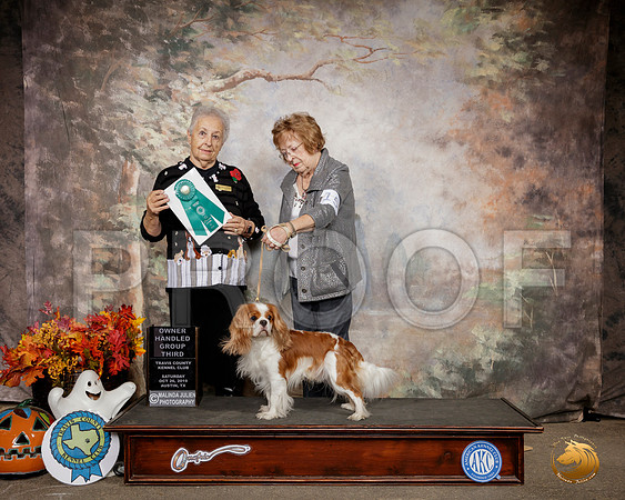 Cavalier King Charles Spaniel #15 Sat OHG3 Judge Erika Moreau__SR_1587-Austin2019-HR3