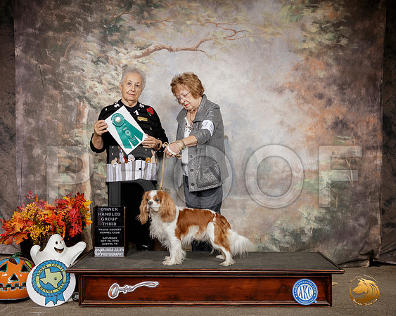 Cavalier King Charles Spaniel #15 Sat OHG3 Judge Erika Moreau__SR_1588-Austin2019-HR3