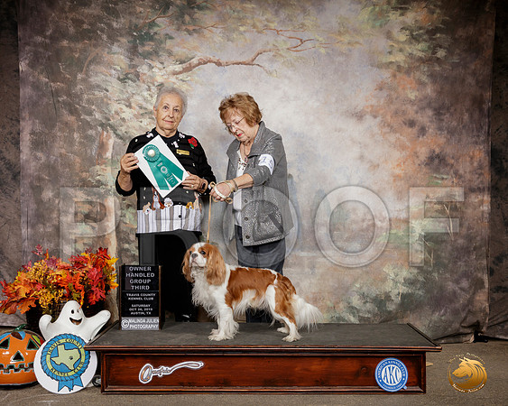 Cavalier King Charles Spaniel #15 Sat OHG3 Judge Erika Moreau__SR_1590-Austin2019-HR3