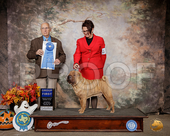 Chinese Shar Pei #5 Sat G1 Judge Robert Shreve__SR_1545-Austin2019-HR3