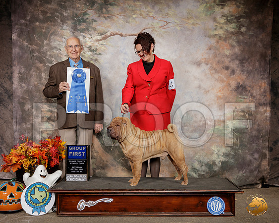 Chinese Shar Pei #5 Sat G1 Judge Robert Shreve__SR_1546-Austin2019-HR3