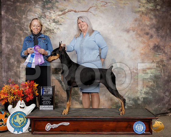 Doberman Pinscher #20 Sat WB BOW Judge Alisa Brotherhood__SR_1465-Austin2019-HR3