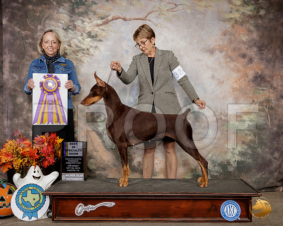 Doberman Pinscher #32 Sat BISS Judge Alissa Brotherhood__SR_1458-Austin2019-HR3