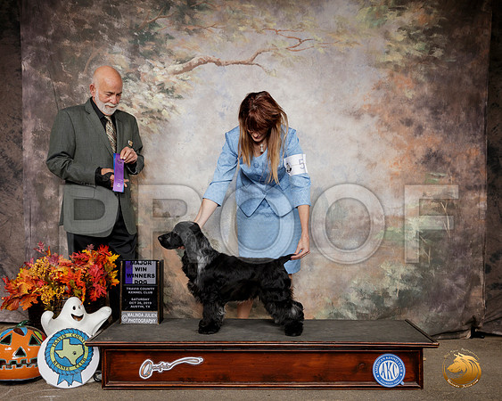 English Cocker Spaniel #5 Sat WD Judge Sam Houston McDonald__SR_1536-Austin2019-HR3