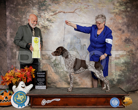 German Shorthaired Pointer #10 Sat G3 Judge Sam Houston McDonald__SR_1655-Austin2019-HR3