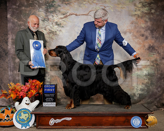 Gordon Setter #7 Sat G1 Judge Sam Houston McDonald__SR_1665-Austin2019-HR3