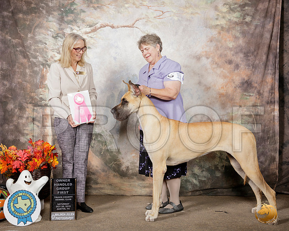Great Dane #12 Sat OHG1 Judge Helen Dorrence__SR_1701-Austin2019-HR3