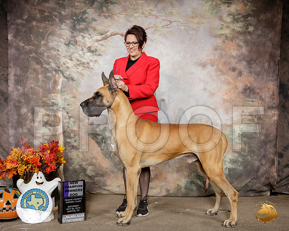 Great Dane #17 Sat WD NCh Judge Hal Beirnann__SR_1404-Austin2019-HR3