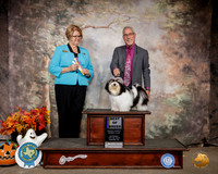 Havanese #5 Sat BOB Judge Cindy Lane