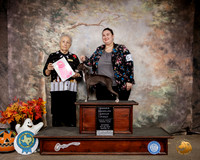 Italian Greyhound #6 Sat OHG1 Judge Erika Moreau