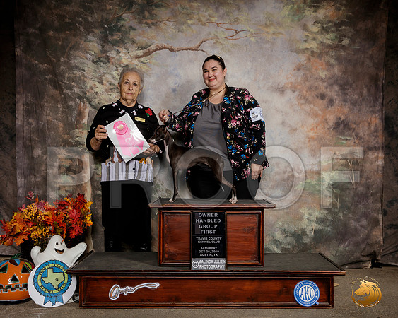 Italian Greyhound #6 Sat OHG1 Judge Erika Moreau__SR_1581-Austin2019-HR3