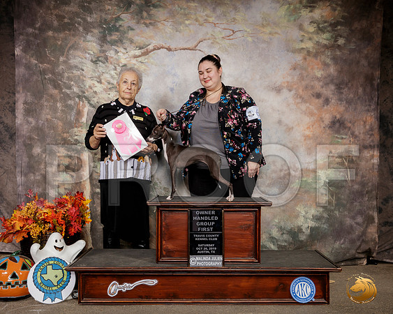 Italian Greyhound #6 Sat OHG1 Judge Erika Moreau__SR_1582-Austin2019-HR3