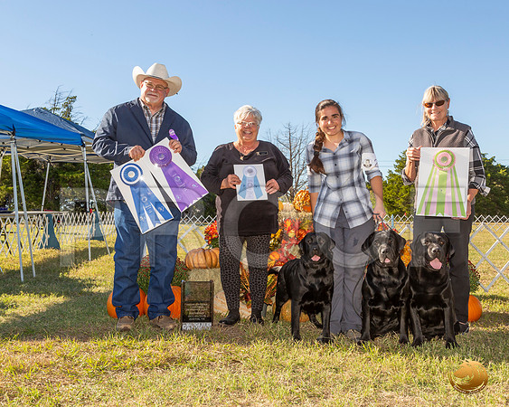 Labrador Retriever Sat BOW__JJ_7652-Austin2019-HR3