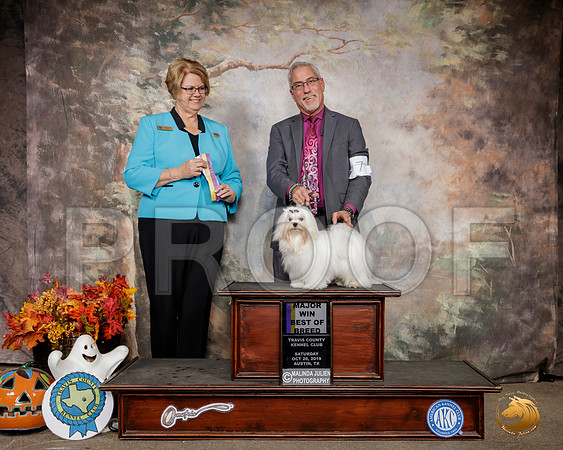 Maltese #7 Sat BOB Maj Judge Cindy Lane__SR_1627-Austin2019-HR3