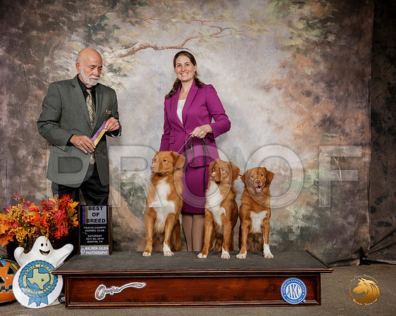 Nova Scotia Duck Tolling Retriever #7 #5 BOB Judge Sam Houston McDonald__SR_1495-Austin2019-HR3