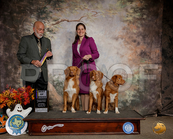 Nova Scotia Duck Tolling Retriever #7 #5 BOB Judge Sam Houston McDonald__SR_1496-Austin2019-HR3