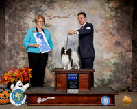 Papillon #14 Sat G1 Judge Cindy Lane
