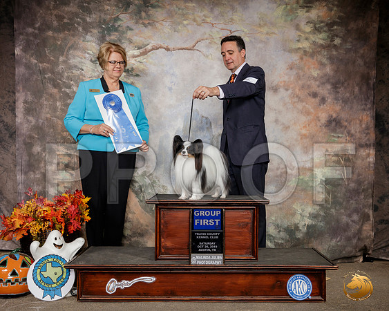 Papillon #14 Sat G1 Judge Cindy Lane__SR_1558-Austin2019-HR3