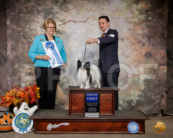 Papillon #14 Sat G1 Judge Cindy Lane__SR_1559-Austin2019-HR3