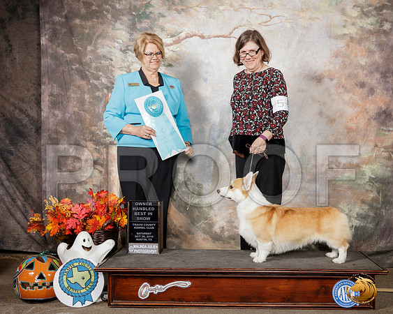 Pembroke Welsh Corgi #5 Sat OHBIS Judge Cindy Lane__SR_1689-Austin2019-HR3