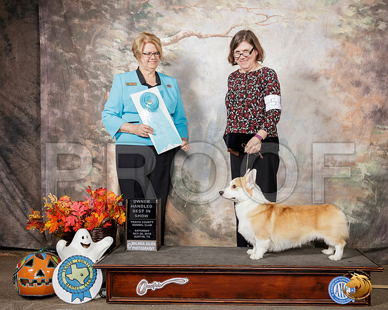 Pembroke Welsh Corgi #5 Sat OHBIS Judge Cindy Lane__SR_1694-Austin2019-HR3