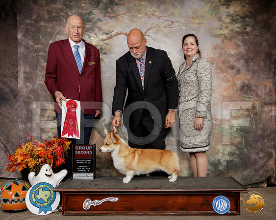Pembroke Welsh Corgi #6 Sat G2 Judge Sonny Ambrosio__SR_1611-Austin2019-HR3