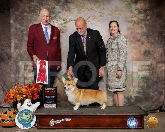 Pembroke Welsh Corgi #6 Sat G2 Judge Sonny Ambrosio__SR_1612-Austin2019-HR3