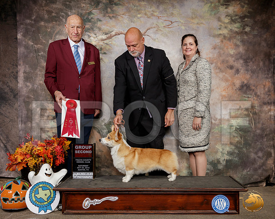 Pembroke Welsh Corgi #6 Sat G2 Judge Sonny Ambrosio__SR_1613-Austin2019-HR3