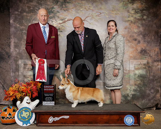 Pembroke Welsh Corgi #6 Sat G2 Judge Sonny Ambrosio__SR_1614-Austin2019-HR3