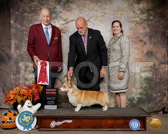 Pembroke Welsh Corgi #6 Sat G2 Judge Sonny Ambrosio__SR_1615-Austin2019-HR3