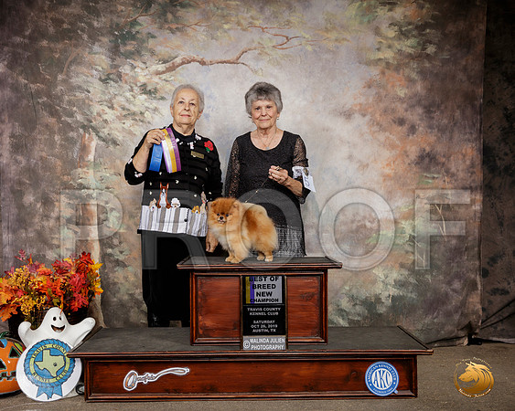 Pomeranian #5 Sat BOB Ch Judge Erika Moreau__SR_1490-Austin2019-HR3