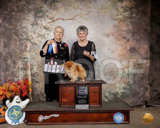 Pomeranian #5 Sat BOB Ch Judge Erika Moreau__SR_1492-Austin2019-HR3