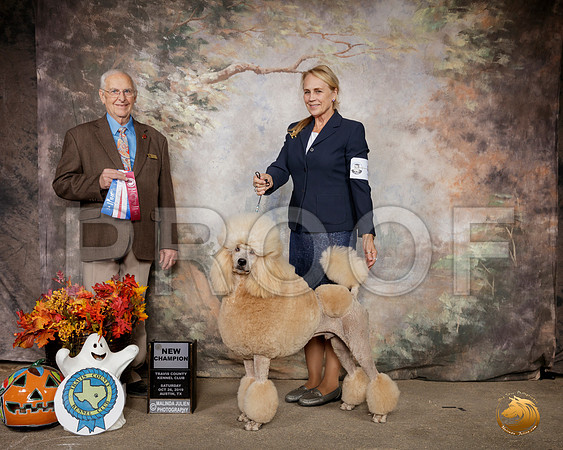 Poodle Std #5 Sat NCh  Judge Sam Houston McDonald__SR_1524-Austin2019-HR3