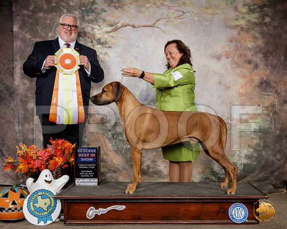 Rhodesian Ridgeback #5 Sat RBIS Judge David Kirkland__SR_1668-Austin2019-HR3