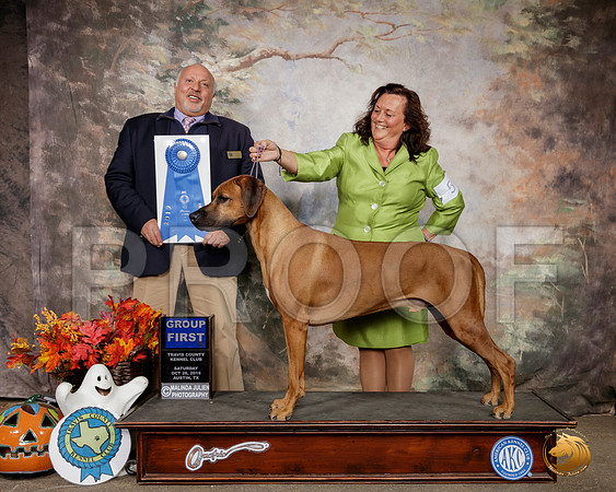 Rodesian Ridgeback #5 Sat G1 Judge Sonny Ambrosio__SR_1672-Austin2019-HR3
