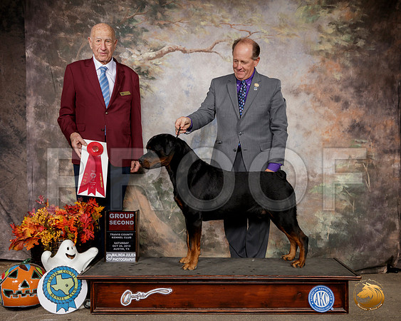 Rottweiler #5 Sat G2 Judge Sonny Ambrosio__SR_1617-Austin2019-HR3
