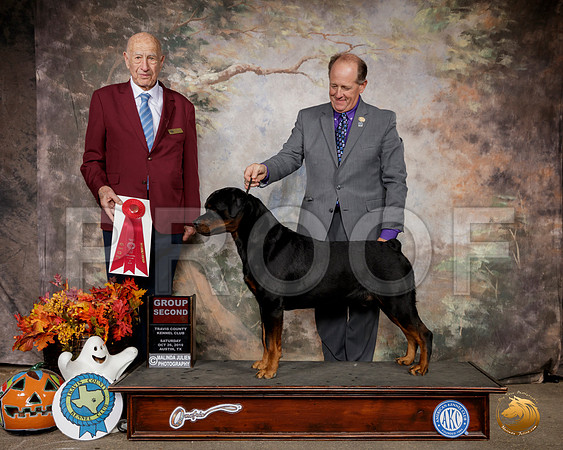 Rottweiler #5 Sat G2 Judge Sonny Ambrosio__SR_1618-Austin2019-HR3